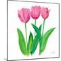 Tulips I-Julie DeRice-Mounted Art Print