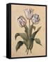 Tulips II-Jill Deveraux-Framed Stretched Canvas