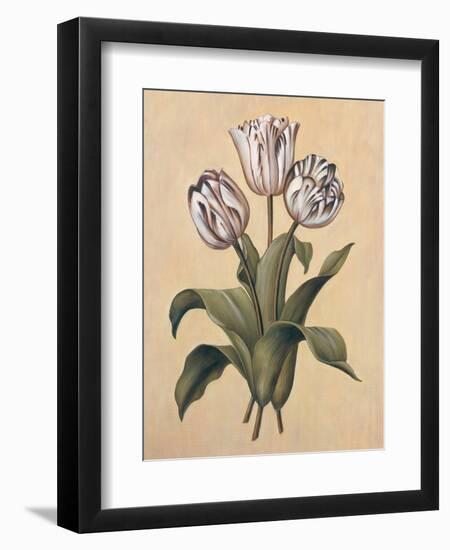 Tulips II-Jill Deveraux-Framed Art Print