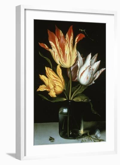 Tulips in a Glass Vase-Ambrosius Bosschaert the Elder-Framed Giclee Print