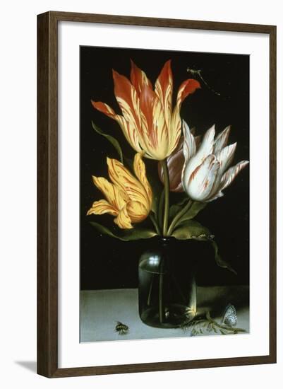 Tulips in a Glass Vase-Ambrosius Bosschaert the Elder-Framed Giclee Print