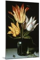 Tulips in a Glass Vase-Ambrosius Bosschaert the Elder-Mounted Giclee Print