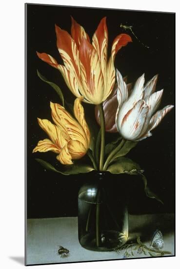 Tulips in a Glass Vase-Ambrosius Bosschaert the Elder-Mounted Giclee Print