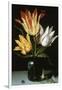 Tulips in a Glass Vase-Ambrosius Bosschaert the Elder-Framed Giclee Print