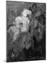 Tulips in a Vase-Sientje Mesgad-van Houten-Mounted Giclee Print