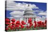 Tulips in Bloom in Front of the Capitol Building, Washington DC, USA-Jaynes Gallery-Stretched Canvas