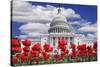 Tulips in Bloom in Front of the Capitol Building, Washington DC, USA-Jaynes Gallery-Stretched Canvas