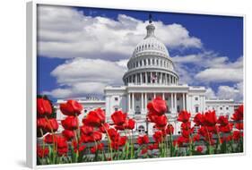 Tulips in Bloom in Front of the Capitol Building, Washington DC, USA-Jaynes Gallery-Framed Photographic Print