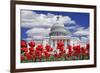 Tulips in Bloom in Front of the Capitol Building, Washington DC, USA-Jaynes Gallery-Framed Photographic Print