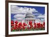 Tulips in Bloom in Front of the Capitol Building, Washington DC, USA-Jaynes Gallery-Framed Photographic Print