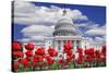 Tulips in Bloom in Front of the Capitol Building, Washington DC, USA-Jaynes Gallery-Stretched Canvas