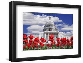 Tulips in Bloom in Front of the Capitol Building, Washington DC, USA-Jaynes Gallery-Framed Photographic Print