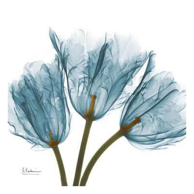 https://imgc.allpostersimages.com/img/posters/tulips-in-blue_u-L-F548H70.jpg?artPerspective=n