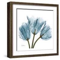 Tulips in Blue-Albert Koetsier-Framed Art Print