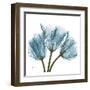 Tulips in Blue-Albert Koetsier-Framed Art Print