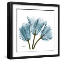 Tulips in Blue-Albert Koetsier-Framed Art Print