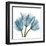 Tulips in Blue-Albert Koetsier-Framed Art Print