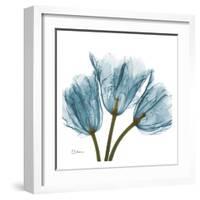 Tulips in Blue-Albert Koetsier-Framed Art Print