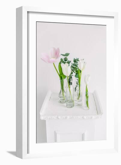 Tulips in Bottles on White Background Studio-Ihor Kopakov-Framed Photographic Print