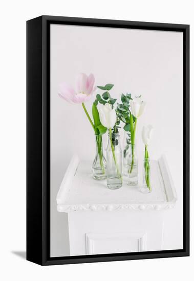 Tulips in Bottles on White Background Studio-Ihor Kopakov-Framed Stretched Canvas