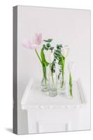 Tulips in Bottles on White Background Studio-Ihor Kopakov-Stretched Canvas