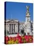 Tulips in Front of Buckingham Palace and Victoria Memorial, London, England, United Kingdom, Europe-Jane Sweeney-Stretched Canvas