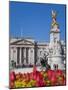 Tulips in Front of Buckingham Palace and Victoria Memorial, London, England, United Kingdom, Europe-Jane Sweeney-Mounted Photographic Print