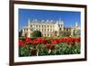 Tulips in Front of Lednice Castle-rogit-Framed Photographic Print