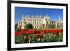 Tulips in Front of Lednice Castle-rogit-Framed Photographic Print