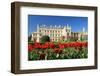 Tulips in Front of Lednice Castle-rogit-Framed Photographic Print