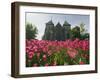 Tulips in Front of Stavanger Cathedral, Stavanger, Norway, Scandinavia, Europe-Christian Kober-Framed Photographic Print