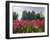 Tulips in Front of Stavanger Cathedral, Stavanger, Norway, Scandinavia, Europe-Christian Kober-Framed Photographic Print