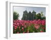 Tulips in Front of Stavanger Cathedral, Stavanger, Norway, Scandinavia, Europe-Christian Kober-Framed Photographic Print