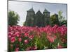 Tulips in Front of Stavanger Cathedral, Stavanger, Norway, Scandinavia, Europe-Christian Kober-Mounted Photographic Print