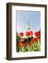 Tulips in Front of Television Tower, Hamburg, Germany, Europe-Axel Schmies-Framed Photographic Print