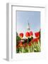 Tulips in Front of Television Tower, Hamburg, Germany, Europe-Axel Schmies-Framed Photographic Print