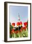 Tulips in Front of Television Tower, Hamburg, Germany, Europe-Axel Schmies-Framed Premium Photographic Print