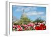 Tulips in Front of the Capitol Building in Spring, Washington DC-Orhan-Framed Photographic Print