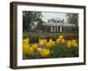 Tulips in Garden of Monticello, Virginia, USA-Merrill Images-Framed Photographic Print