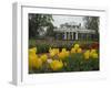 Tulips in Garden of Monticello, Virginia, USA-Merrill Images-Framed Photographic Print