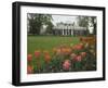 Tulips in Garden of Monticello, Virginia, USA-Merrill Images-Framed Photographic Print