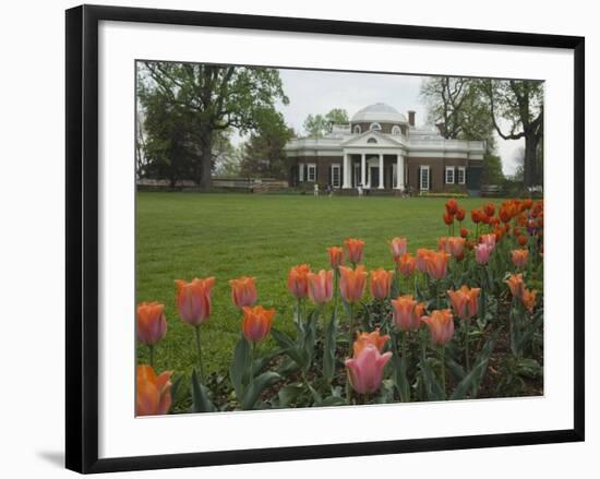 Tulips in Garden of Monticello, Virginia, USA-Merrill Images-Framed Photographic Print