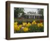 Tulips in Garden of Monticello, Virginia, USA-Merrill Images-Framed Photographic Print