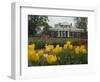 Tulips in Garden of Monticello, Virginia, USA-Merrill Images-Framed Photographic Print