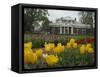 Tulips in Garden of Monticello, Virginia, USA-Merrill Images-Framed Stretched Canvas