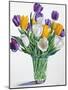 Tulips in Glass Vase-Christopher Ryland-Mounted Giclee Print