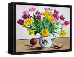 Tulips in Jug with Apples-Christopher Ryland-Framed Stretched Canvas