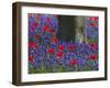 Tulips in Keukenhof Gardens, Amsterdam, Netherlands-Keren Su-Framed Photographic Print