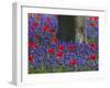 Tulips in Keukenhof Gardens, Amsterdam, Netherlands-Keren Su-Framed Photographic Print