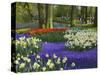 Tulips in Keukenhof Gardens, Amsterdam, Netherlands-Keren Su-Stretched Canvas